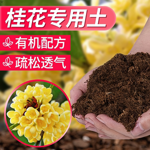 桂花专用土营养土养桂花树肥料专用肥盆栽土壤种植土有机绿植泥土