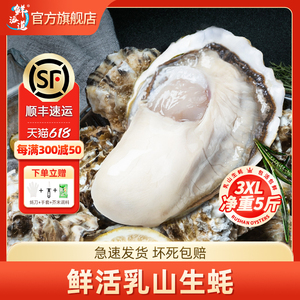 【618年中大促】鲜海道福瑞乳山生蚝鲜活特大5斤牡蛎水产海鲜批发