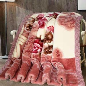 毛毯双层拉舍尔盖毯12斤加厚被子珊瑚绒秋冬季单双人羊绒宿舍铺床