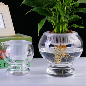 新款水培办公室内花瓶花盆玻璃桌面摆件植物水养花卉灯笼器皿绿萝