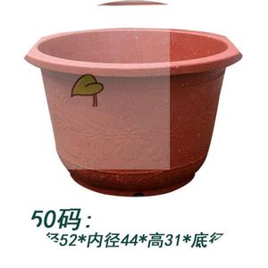 多肉花莲 多肉花莲品牌 价格 阿里巴巴