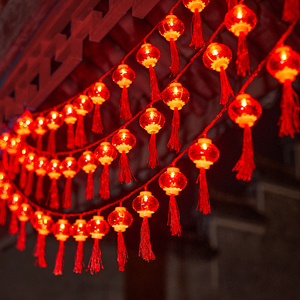 新年龙年插电红灯笼中国结彩灯闪灯串灯春节装饰家用过年氛围灯