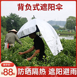 钓鱼伞小型户外背包式遮阳伞晴雨两用可背式采茶伞采茶专用伞黑胶