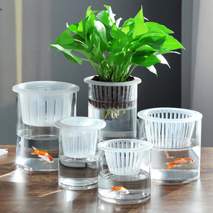简约水培植物玻璃瓶透明直筒圆柱形花瓶绿萝白掌水养玻璃容器鱼缸