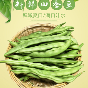 花豆籽 花豆籽品牌 价格 阿里巴巴