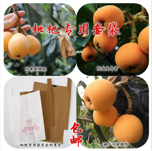 枇杷专用套袋防虫防鸟袋白色果袋套树上的双层牛皮纸袋水果保护袋