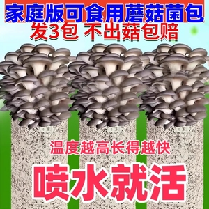 【不出菇包赔】蘑菇菌包家庭种植菌棒蘑菇种植包平菇菌种