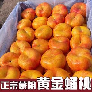 黄金油蟠桃5斤新鲜桃子当季整箱水果现摘脆甜黄心桃油桃蜜桃包邮1