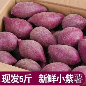 越南品种小紫薯3/5斤新鲜红薯紫罗兰紫薯珍珠紫薯自种番薯糖心地1