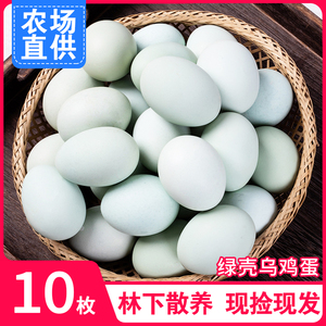 农家散养绿壳乌鸡蛋10枚新鲜土鸡蛋绿壳蛋绿皮鸡蛋乌骨草鸡蛋