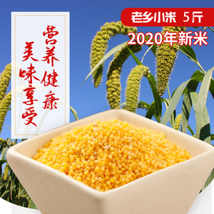 有机小米杂粮黄小米粥东北2023新米食用产品老乡小米5斤农家自产