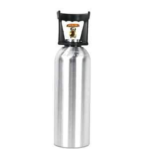 便携式煤气罐小钢瓶小型液化气瓶户外丁烷丙烷燃气家用可充气防爆
