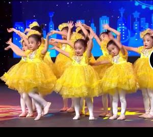 新款我们都是小星星儿童演出服幼儿蓬蓬公主裙小星星舞蹈表演服装