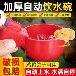 鸡用自动饮水器鸡喝水碗小鸡家禽喂水神器鸡鸭鹅水壶养鸡设备用品