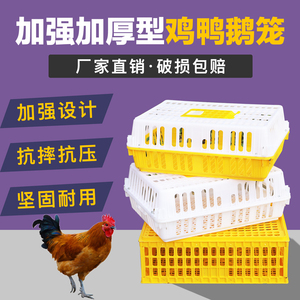 鸡笼周转箱塑料加厚运鸡鸭鹅筐家禽运输筐子鸡用笼子鸽兔笼养殖笼