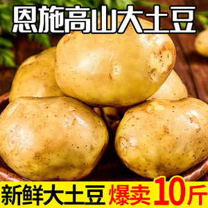 恩施富硒大土豆10斤新鲜包邮黄心士豆湖北马铃薯批发蔬菜高山洋芋