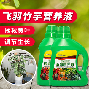 飞羽竹芋营养液绿植液体肥种植花卉专用肥料植物阳台盆栽家用育苗