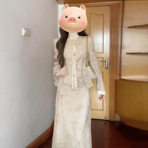 新中式国风套装女御姐气质女神范上衣半身裙两件套春装搭配一整套