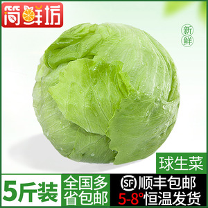 顺丰包邮 5斤装新鲜生菜球汉堡生菜专用沙拉蔬菜即食青菜球形生菜