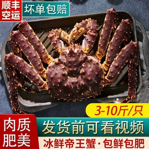 阿拉斯加帝王蟹鲜活海鲜大礼包水产超特大冰鲜帝皇蟹长脚蟹大螃蟹