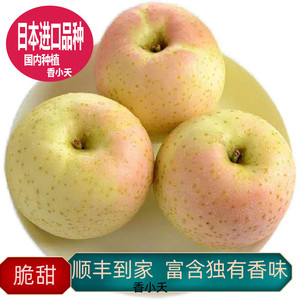 出口翡翠红王林苹果现摘新鲜孕妇水果送礼日本青森脆甜贵族稀有大