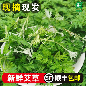 新鲜艾草食用蔬菜现摘清明草粑粑青团艾米果艾叶新鲜艾蒿顺丰包邮