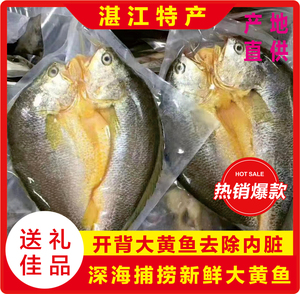 3条450g黄鱼广东湛江特产淡盐黄花鱼新鲜冷冻大黄鱼 海鱼海鲜水产
