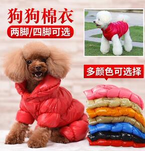 博美犬面包 博美犬面包品牌 价格 阿里巴巴