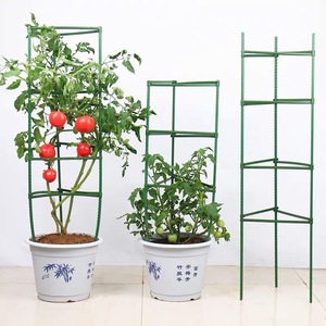 西红柿架杆番茄种植黄瓜豆角爬藤月季支撑杆盆栽楼顶种菜架子神器