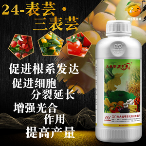 大光明天丰素0.01%芸苔素内酯果树小麦植物增产植物生长调节剂1L