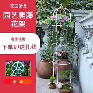 固定花的支柱 固定花的支柱品牌 价格 阿里巴巴