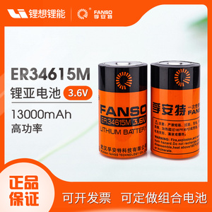孚安特ER34615M 1号 3.6V 燃气表NB物联网锂亚电池组通用LS33600