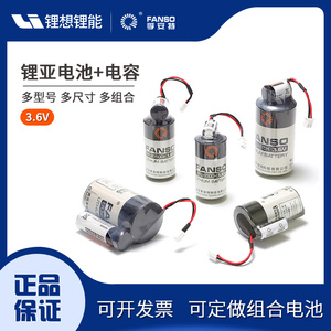 孚安特ER34615+SPC1550超级电容HPC1520 HLC3.6V锂亚电池组NB-lot