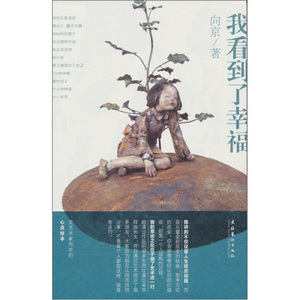 正版书我看到了幸福向京文化艺术