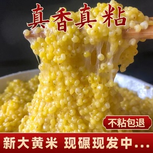 23年陕北新米陕北大黄米糯小米软米包粽子黏米粘黄米糜子黍米5斤