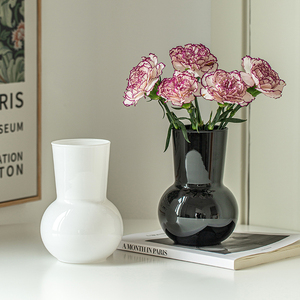 花瓶摆件客厅插花玻璃透明水养高级感中古水培鲜花现代简约黑色小