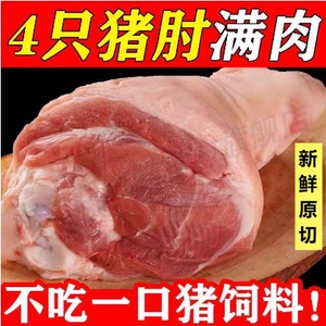 新鲜猪肘子4斤沂蒙山散养猪蹄膀猪前肘生猪脚生猪肉冷冻生鲜商用