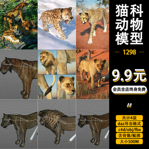 daz导出c4d猫科野生动物obj雌性母狮子雄狮fbx老虎豹子3D模型合集