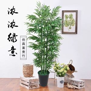 富贵竹假花步步高富贵竹假花仿真花摆设网红大号高档2022新款高档