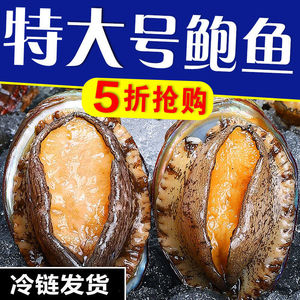 超大号【8-10只/斤】精选500g新鲜冷冻大鲍鱼海鲜水产鲜活特大鲍