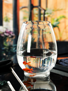 大号创意简约植物水培玻璃器皿透明花瓶办公室圆形生态小鱼缸摆件