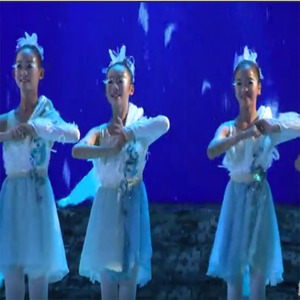 六一新款烟雨鹊桥舞蹈演出服第六界舞蹈大赛舞台表演服羽毛裙