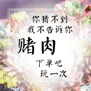 都肉植物包邮 淘宝拼多多热销都肉植物包邮货源拿货 阿里巴巴货源