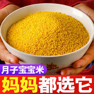 山西特产黄小米新米500克月子米宝宝米杂粮小黄米米脂小米粥