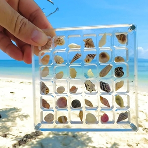 贝壳收纳盒透明亚克力收纳筐海螺标本展示盒海边昆虫石头收集盒子