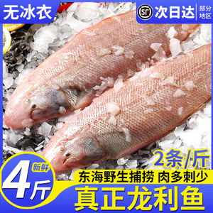 真正龙利鱼新鲜冷冻特大舌鳎鱼玉秃鱼商用鱼排海鲜水产非巴沙鱼