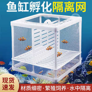 鱼缸隔离网观赏鱼繁殖隔离盒天使鱼斑马鱼凤尾鱼孔雀母鱼孵化网