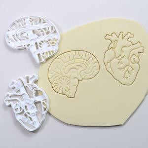 新款亚马逊塑料大脑心脏印章磨具白色压花工具人体器官印章模具