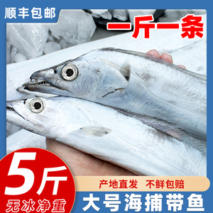 3斤3条大带鱼新鲜海鲜渤海冷冻带鱼段刀鱼中段海鱼海鲜非东海舟山
