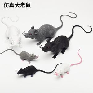 仿真老鼠模型塑胶白灰黑鼠拍摄道具教具整蛊愚人鬼节地摊玩具
